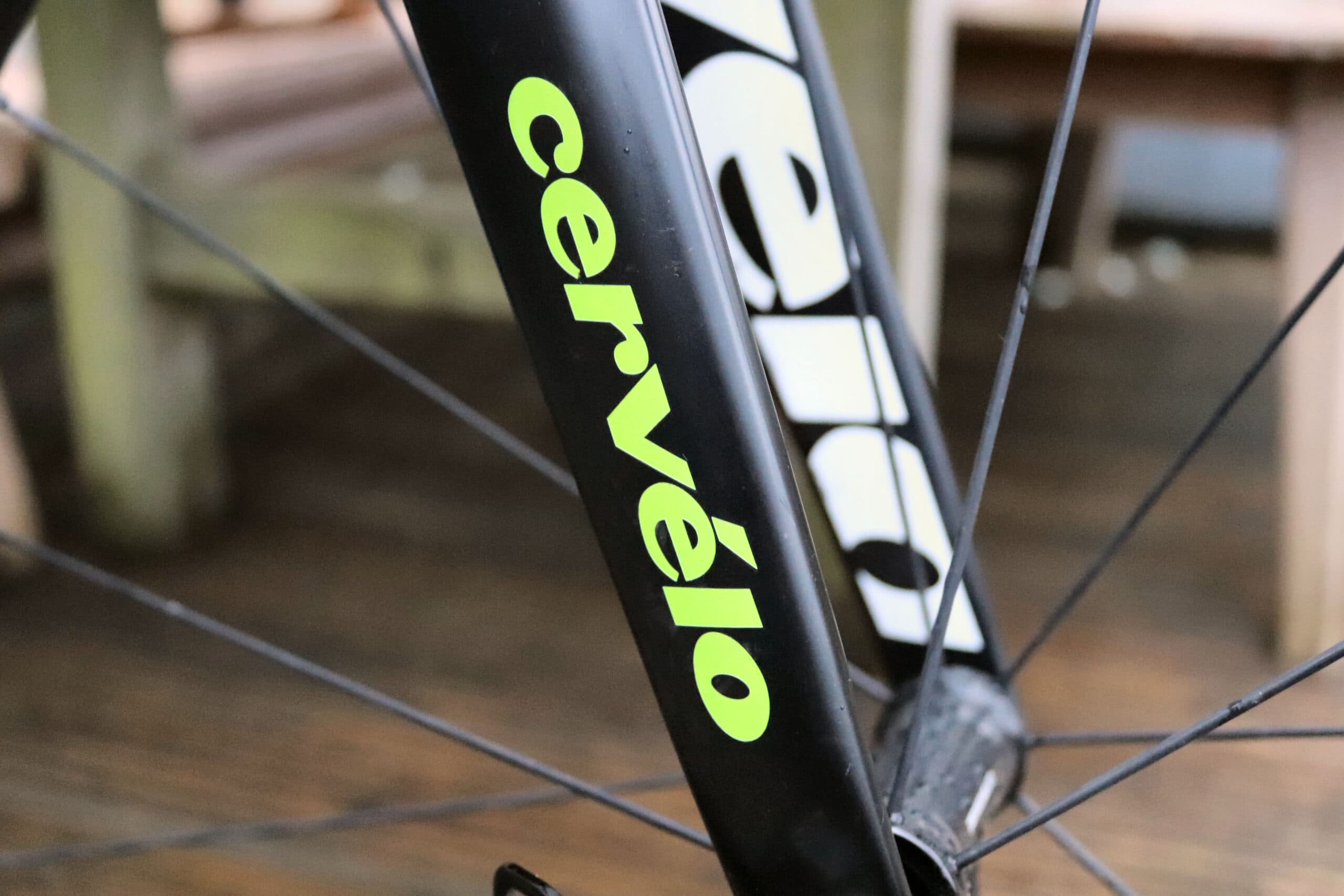 Who Owns Garmin, Coros, and Whoop: Sports Tech Ownership Explained